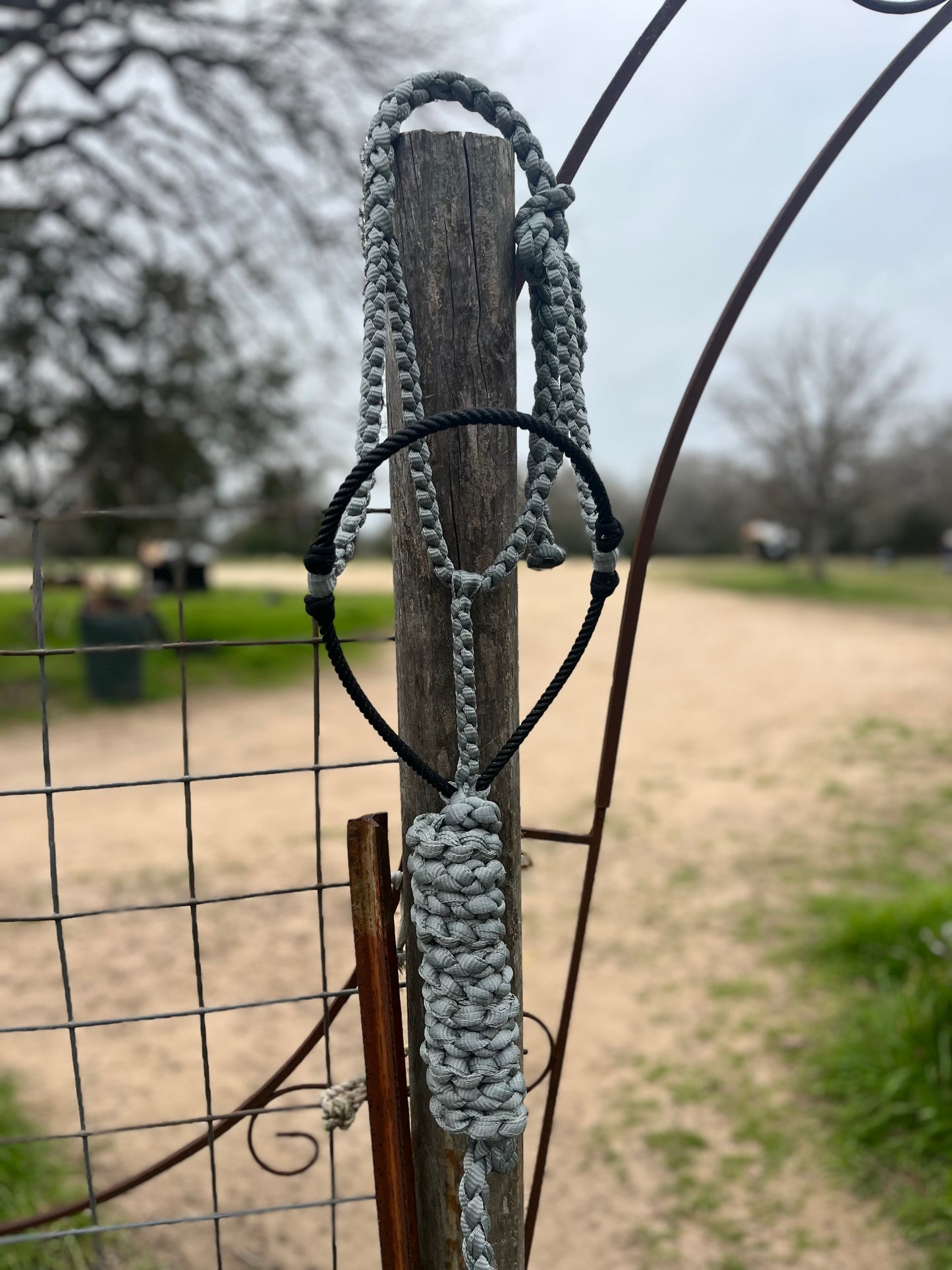 Custom Lariat Halter