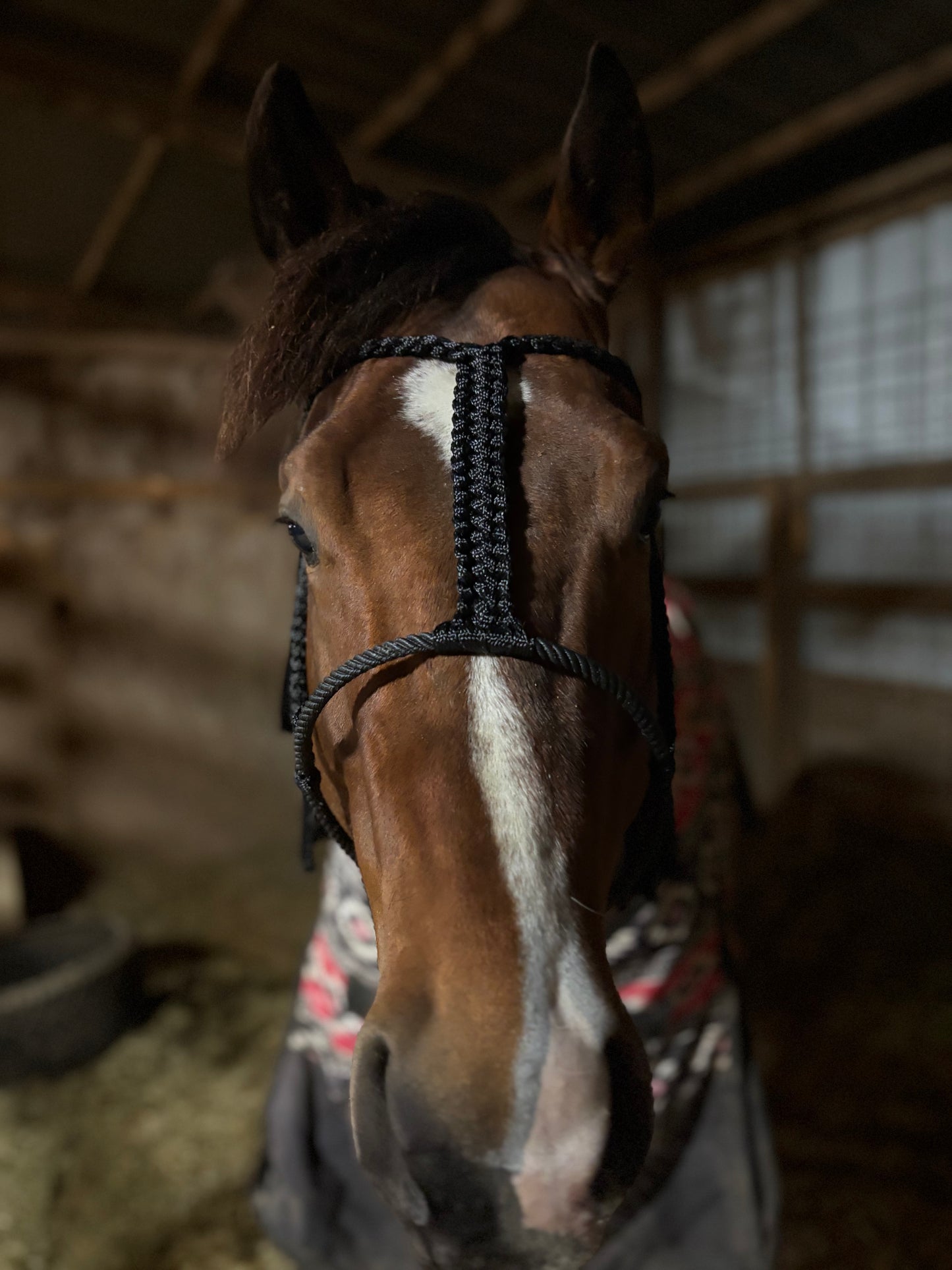 Custom Braided Halter