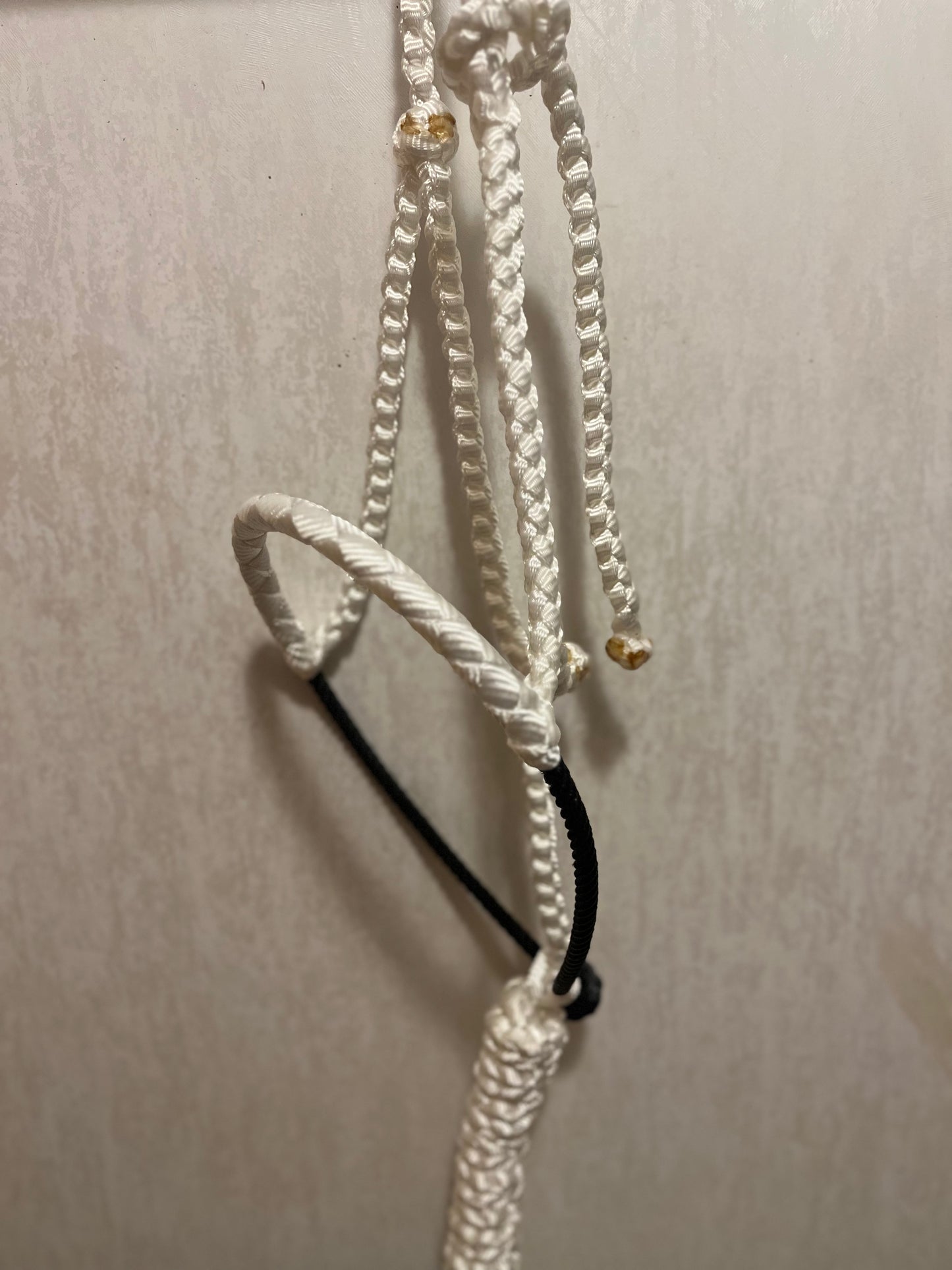 Custom Lariat Halter