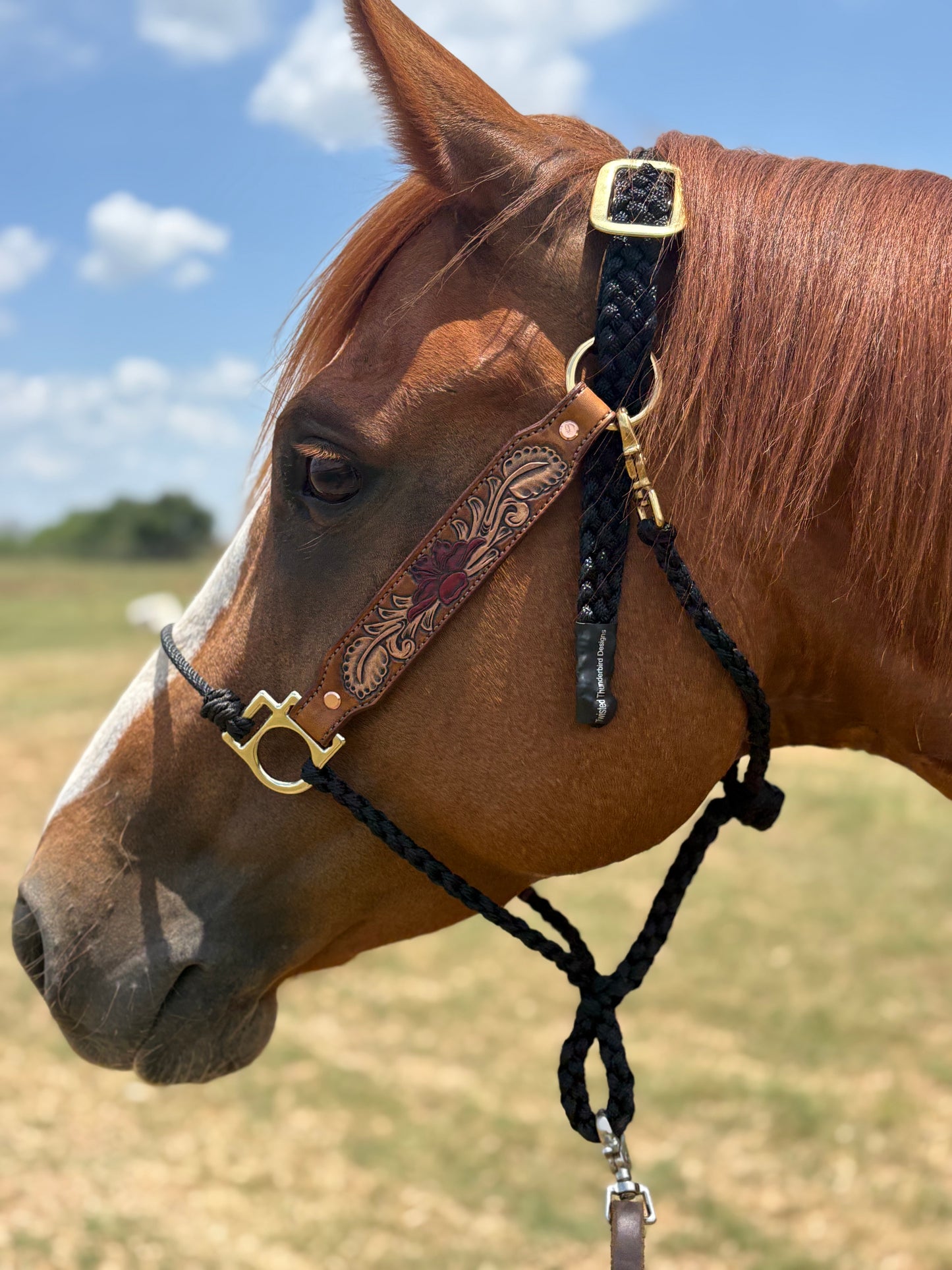 Flyin Hawaiian leather halter