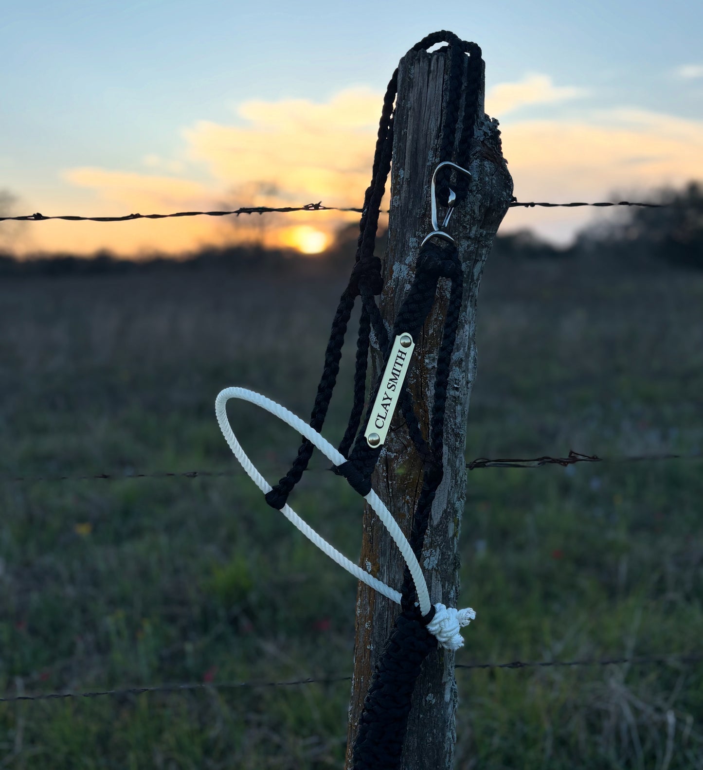(DOUBLE) Nameplate Muletape Halter