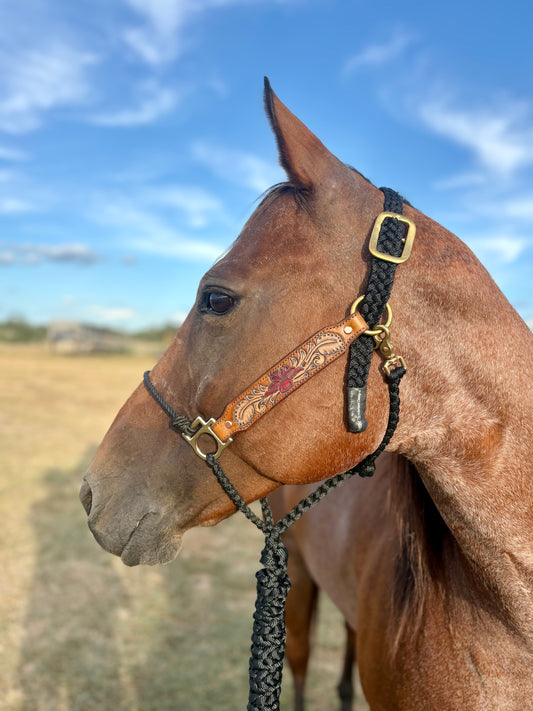 Flyin Hawaiian leather halter
