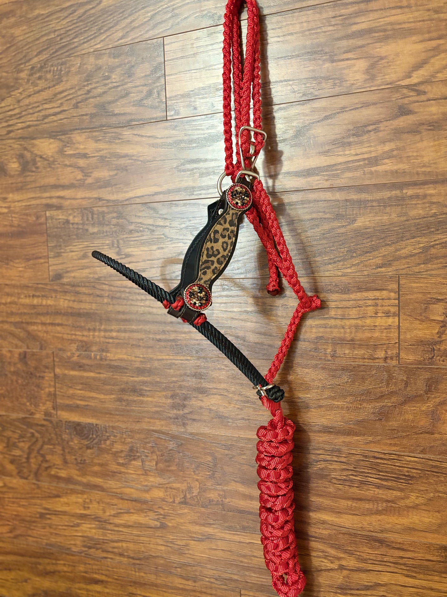 Cheetah Hybrid Halter