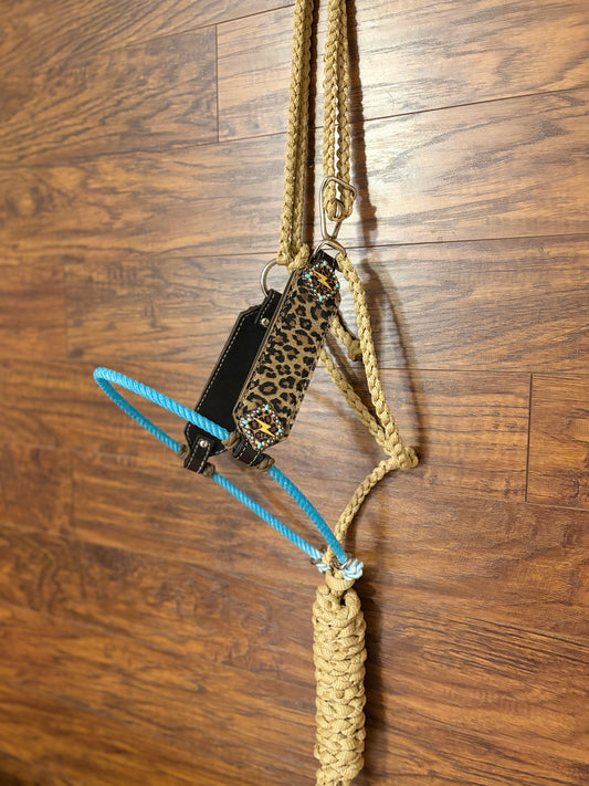 Cheetah Hybrid Halter